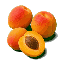 Abricot