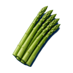 Asperge verte