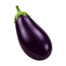 Aubergine