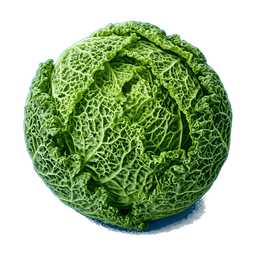 Chou vert