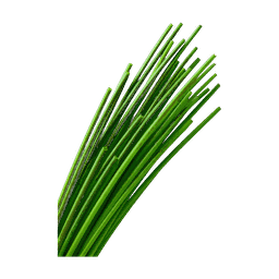 Ciboulette