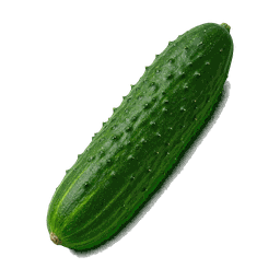 Concombre
