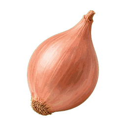 Échalote