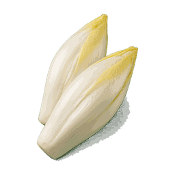 Endive