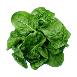 Épinard