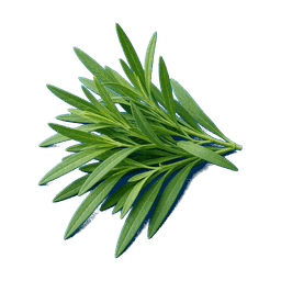 Estragon