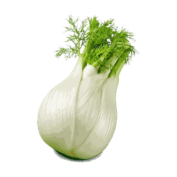 Fenouil
