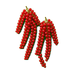 Groseille