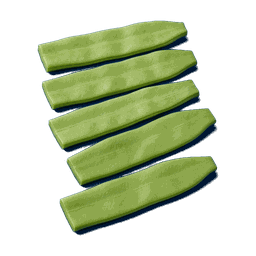 Haricot plat