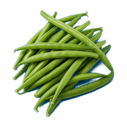 Haricot vert