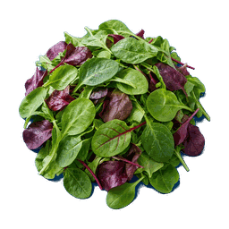 Mesclun