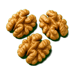 Noix