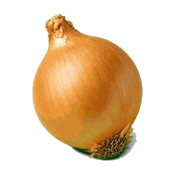 Oignon