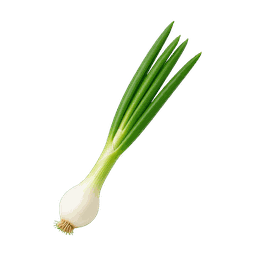 Oignon nouveau