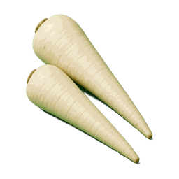 Panais