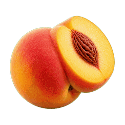 Pêche