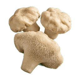 Pied-de-mouton