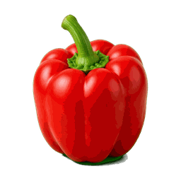 Poivron rouge