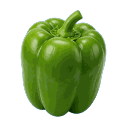 Poivron vert