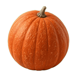 Potimarron