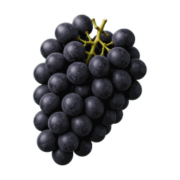 Raisin noir