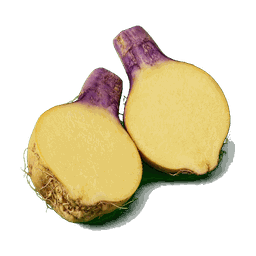 Rutabaga