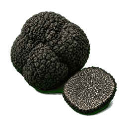 Truffe noire