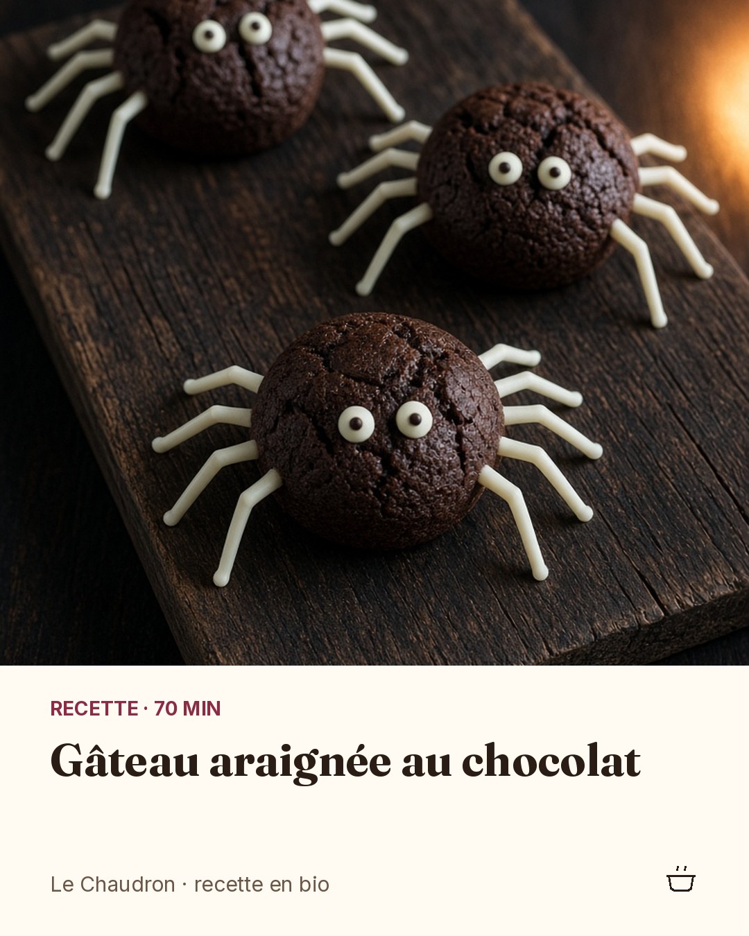 Gâteau araignée au chocolat